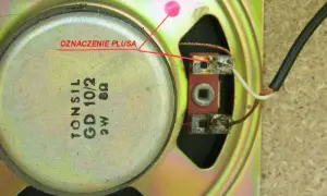 Jak rozpoznać który kabel to plus a który minus w głośnikach?