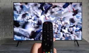 Pilot do telewizora LG w ręce, ekran pokazuje stado ptaków. Dowiedz się, jak ustawić telewizor LG do odbioru telewizji naziemnej.