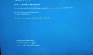 Ekran Recovery: Aplikacja nie została właściwie uruchomiona 0xc000007b. Błąd jądra systemu Windows.
