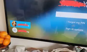 Ekran logowania Windows z polem PIN. Użytkownik może skorzystać z opcji "Zapomniałem PIN-u" lub "Opcje logowania".