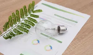 Zielona gałązka i żarówka na papierze z wykresami, sugerujące analizę taryfy c11 i efektywności energetycznej.