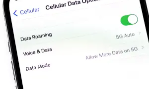 Ustawienia telefonu: jak włączyć roaming danych. Widoczny przełącznik "Data Roaming" jest włączony.