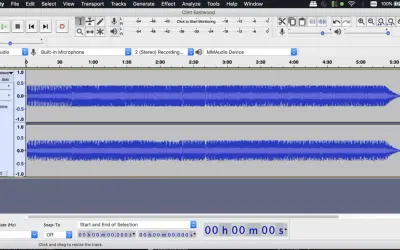 Nagrywanie dźwięku z komputera w programie Audacity. Widoczne dwie ścieżki audio z falami dźwiękowymi.