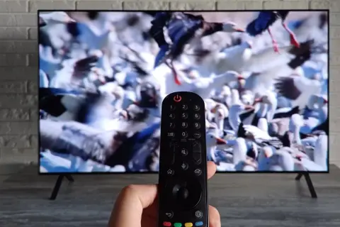 Pilot do telewizora LG w ręce, ekran pokazuje stado ptaków. Dowiedz się, jak ustawić telewizor LG do odbioru telewizji naziemnej.