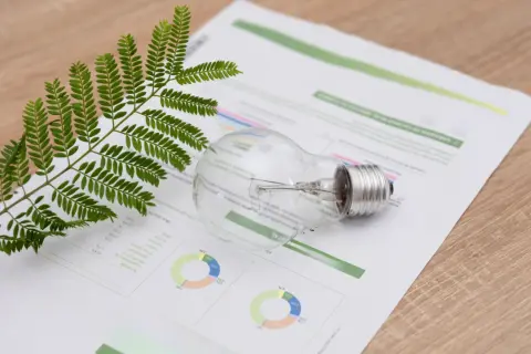 Zielona gałązka i żarówka na papierze z wykresami, sugerujące analizę taryfy c11 i efektywności energetycznej.