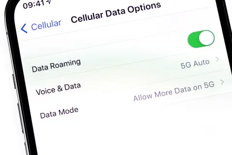 Ustawienia telefonu: jak włączyć roaming danych. Widoczny przełącznik "Data Roaming" jest włączony.