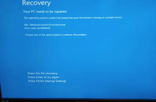 Ekran Recovery: Aplikacja nie została właściwie uruchomiona 0xc000007b. Błąd jądra systemu Windows.