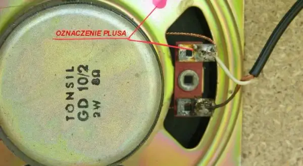 Jak rozpoznać który kabel to plus a który minus w głośnikach?