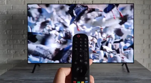 Pilot do telewizora LG w ręce, ekran pokazuje stado ptaków. Dowiedz się, jak ustawić telewizor LG do odbioru telewizji naziemnej.