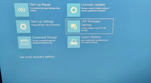 Ekran zaawansowanych opcji odzyskiwania systemu Windows. Widoczne opcje to: Naprawa systemu, Odinstaluj aktualizacje, Ustawienia uruchamiania, Ustawienia oprogramowania układowego UEFI (BIOS), Wiersz polecenia i Przywracanie systemu.