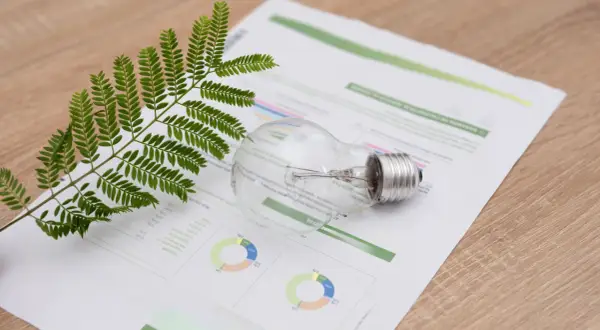 Zielona gałązka i żarówka na papierze z wykresami, sugerujące analizę taryfy c11 i efektywności energetycznej.