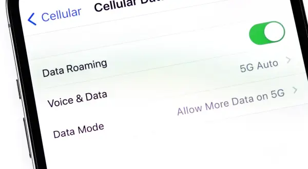 Ustawienia telefonu: jak włączyć roaming danych. Widoczny przełącznik "Data Roaming" jest włączony.