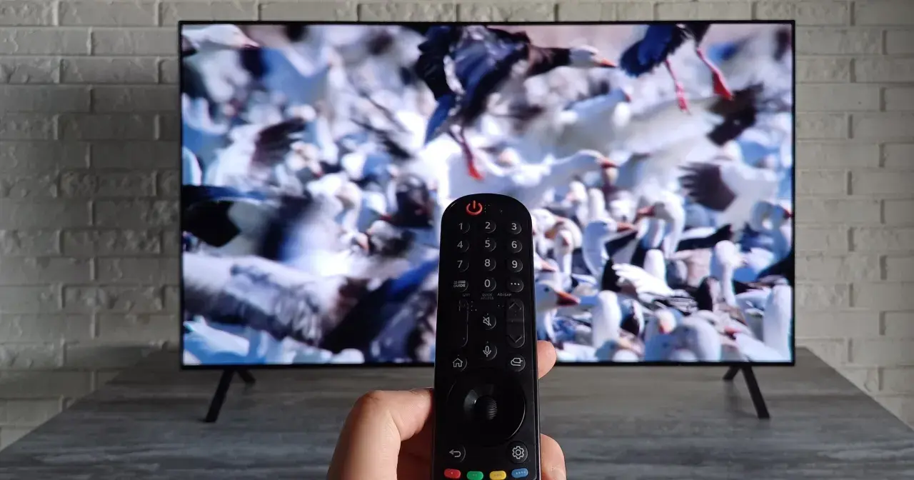 Pilot do telewizora LG w ręce, ekran pokazuje stado ptaków. Dowiedz się, jak ustawić telewizor LG do odbioru telewizji naziemnej.