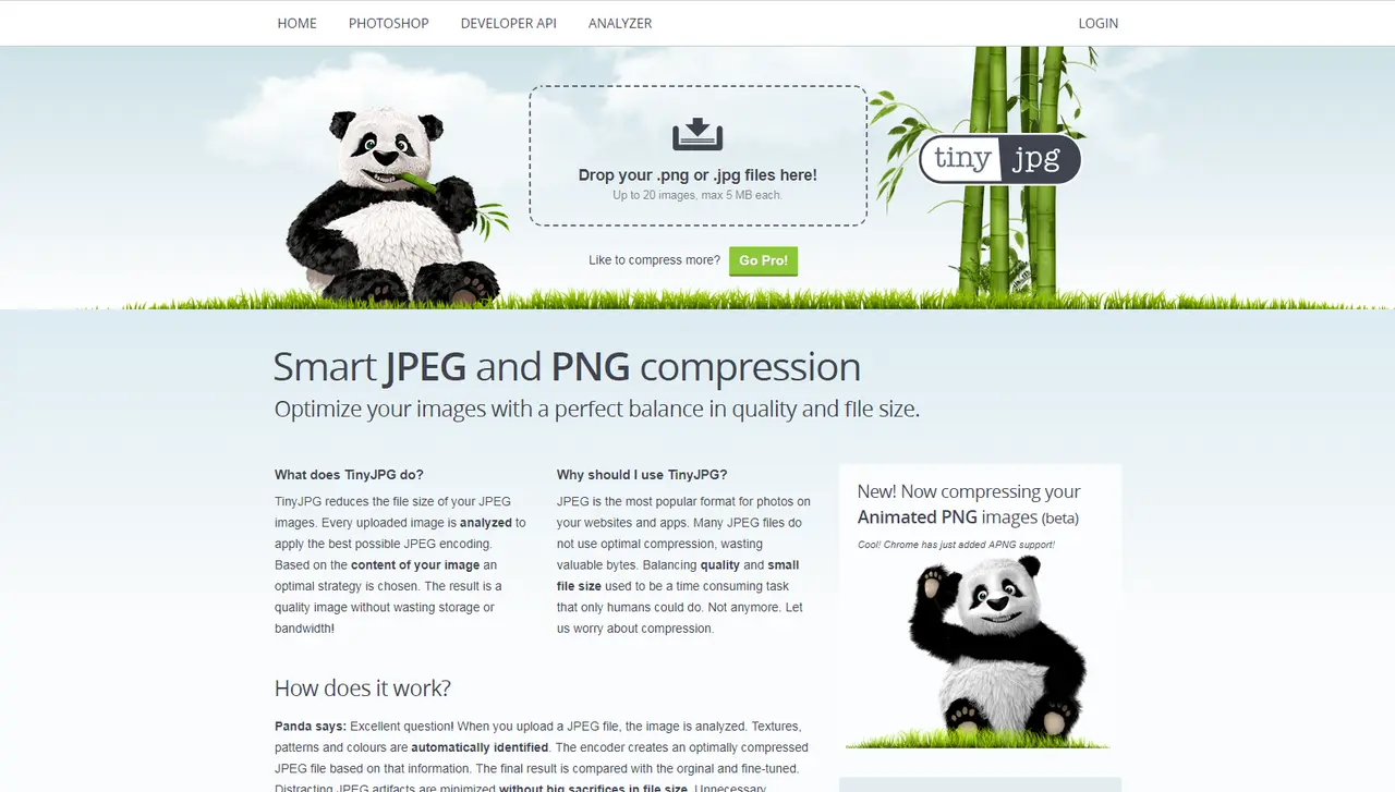 Panda pomaga jak zmniejszyć rozmiar zdjęcia. Przeciągnij pliki .png lub .jpg, aby je skompresować.