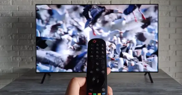 Pilot do telewizora LG w ręce, ekran pokazuje stado ptaków. Dowiedz się, jak ustawić telewizor LG do odbioru telewizji naziemnej.