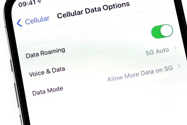Ustawienia telefonu: jak włączyć roaming danych. Widoczny przełącznik "Data Roaming" jest włączony.